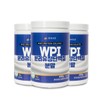 WPI 분리유청 단백질분말 400g 4+1통 WPI Isolate Whey Protein Powder