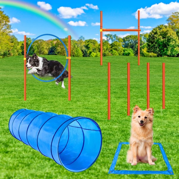 XiaZ XiaZ Dog Agility Course Backyard Set, Dog Obstacle Course
