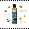 Dollylocks Claifying Liquid Shampoo | Coconut Lime | Paraben-free, Plant-Based,
