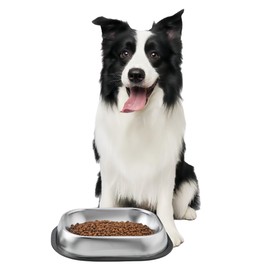 MRTIOO 304 Stainless Steel Metal Food Dishes, with Cleaning Kit, Shallow Dog Food Bowls, Feeder Dog Bowls Water Bowl, for Small/Med Sized Cats Dogs (8.2 inch/1 BOWL)