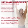 FINAFLEX Pure Creatine + Calypso, Strawberry Lemonade - 7.5 oz