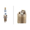 HELLA 8EH 188 705-041 Spark Plug - Platinum PM7RC-10 -