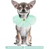 BIPY Green Dog Tutu Collar with Bell Neck Accessories for