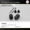 Daytona 37727 Premium Zone Motorcycle Bar End Kawasaki (M6) KIRIKO
