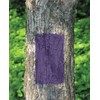 Rust-Oleum 270970-6PK Specialty No Hunting Purple Spray Paint, 12 oz,