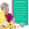 Play Brainy Montessori Alphabet Matching Eggs, 26 Pc. ABC Letter