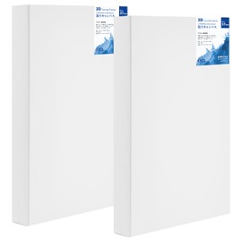 HANSILK 3D CANVAS F4 13.2 x 9.5 inches (336 x 242 mm), Thickness 1.5 inches (37 mm), Can be Drawn on Sides, 2 Pieces, Wrapped Canvas Board, Stretched Canvas, Synthetic Cotton, Medium Grain, Painting