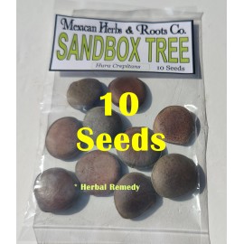 Mexicanherbs sandbox tree 10 seeds (Hura crepitans, possumwood, jabillo )