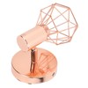 Swing Arm Wall Lamp 350 Degree Rotary Cage Shade Iron
