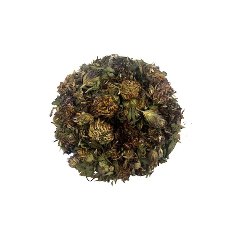 Red Clover Whole Dried Flowers Loose Herb Tea - Trifolium