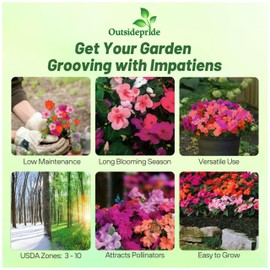 Outsidepride Dazzler Passionfruit Mix Impatiens Flower Seeds - 75 Pcs Annual, Compact & Pollinator Friendly, Impatiens Seeds for Planting w/Vibrant, Abundant Blooms for Shade Gardens & Containers