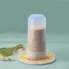 AIMALL Bird Automatic Feeder - Chicken, Pigeon, Parrot Feeder &