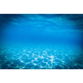 MIRRORANG 61 x 30 cm Underwater Theme Aquarium Background Blue Ripped Water Underwater World Aquarium Background Aquarium Background Background Background