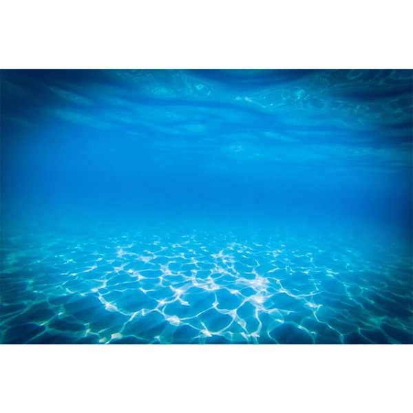 MIRRORANG 61 x 30 cm Underwater Theme Aquarium Background Blue