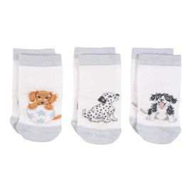 Wrendale Designs Little Paws Baby Socks Set - 6-12 Months