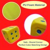 Macro Giant 6 Inch PU Foam Jumbo Big Playing Dice,