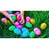 HiFEN® 48 Pcs Fillable Plastic Surprise Easter Eggs for Egg