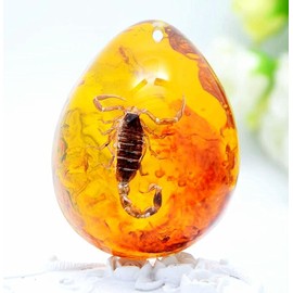 EatingBiting Resin Amber Insect Pendant Scorpion Fossil Stone Crystal Home Decoration Samples Stones Specimens Home Decorations Collection Oval