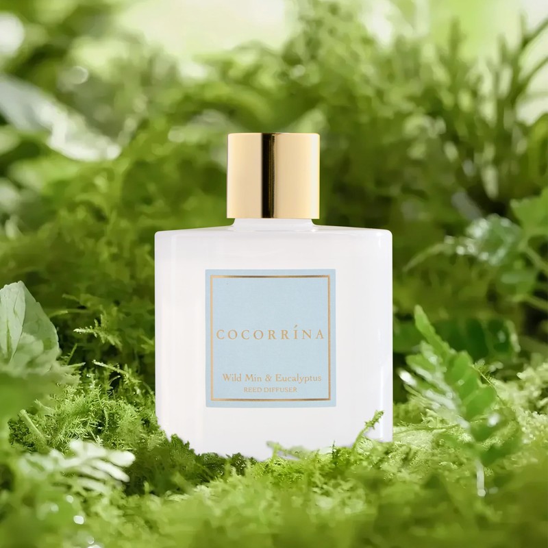 COCORRÍNA Reed Diffuser - Wild Mint & Eucalyptus 6.7 Fl.oz