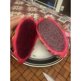 ORGANICO One  Vietnamese read DRAGON FRUIT CUTTING 8- 12 Inches