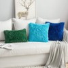MIULEE Pack of 2 Luxury Faux Fur Fluffy Throw Pillow