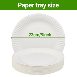 Pack of 110 White Paper Plates, 23 cm / 9 inches, Paper Plates for Birthday, Party, BBQ - Elegant y Duradero, Paper Plates for Children's Birthday, Paper Plates for Celebrations and Events