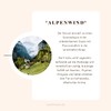 Organic Herbal Tea "Alpenwind" Made from Natural Mountain Herbs Loose