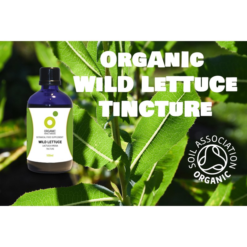 Organic herbal Remedies 100ml Wild Lettuce