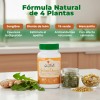 Gatlali Herbes Douces Jengibre T Verde Manzanilla Digestin Sin Sabor