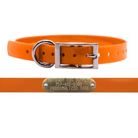Outdoor Dog Supply's 3/4" Wide Solid D Ring Dog Collar Strap with Custom Brass Name Plate