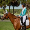 Equinavia Gardian Riding Helmet - Lightweight, Low-Profile Design with Airflow