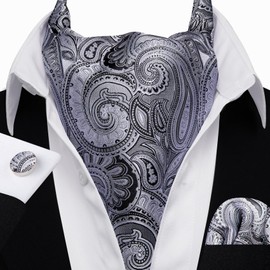 Barry.Wang Mens Silver Silk Ascort Paisley Cravat Tie Pocket Square Cufflinks Set