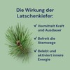 Spitzner Hydro Sauna Infusion Mountain Pine 1 Litre