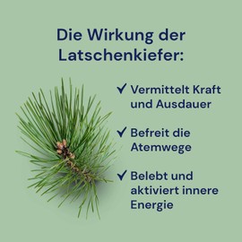 Spitzner Hydro Sauna Infusion Mountain Pine 1 Litre