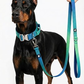 HamInWay Collar y Correa tácticos para Perros Ocean Wave: Nailon Resistente, Hebilla de Metal, asa Acolchada, diseño de Color Degradado, duraderos par