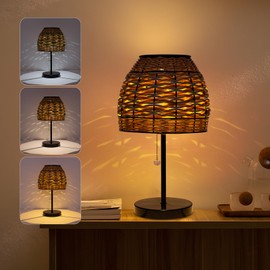 Livinlarge Outdoor Solar Table Lamp,3 Color Temperatures Bedside Lamps with USB-C Ports,Boho Desk Lamps Pull Chain Table Lamps with Black Metal Base for Garden,Yard,Patio,Lawn Outdoor Decor