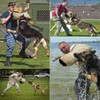 Professional Dog Bite Training Set Dog Bite Arm with Whip