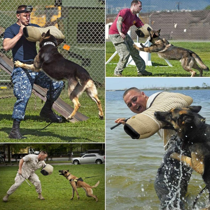 Professional Dog Bite Training Set Dog Bite Arm with Whip