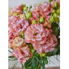 Eustoma / Lisianthus Grandiflorum Thornless Rose Seeds 400 to 4000pcs,
