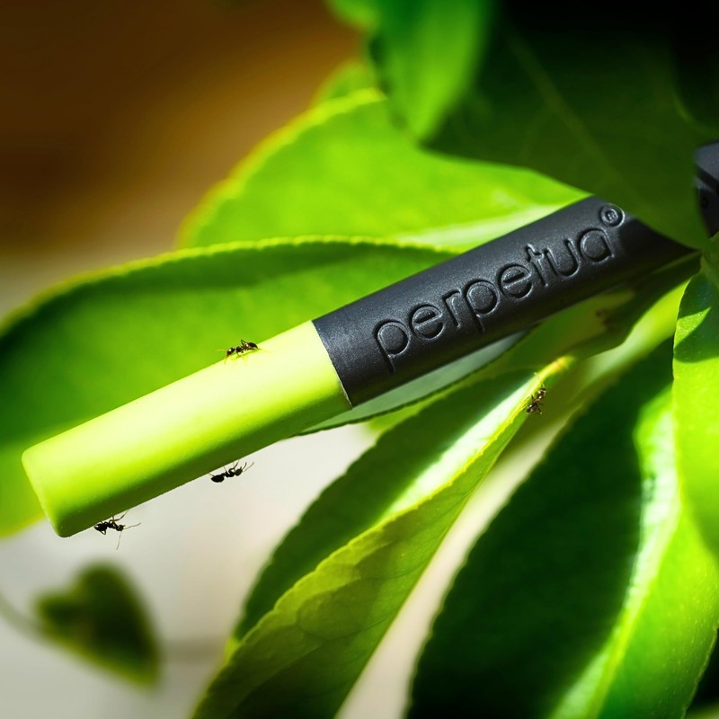 Perpetua The Pencil in Recycled Graphite by Perpetua We Had