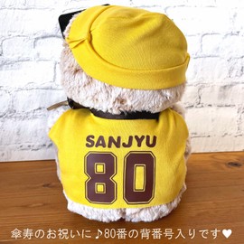 Florist Man, 80 Years Old, Number Umbrella, Celebration, Yellow, Longevity Celebration, Present, Bear, Plush, Preserved Flowers, Rose (Umbrella Bear with Number, Case Included)