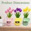 Mom Gifts from Daughters, Mini Vase Magnets for Fridge,Best Mom