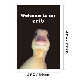 Welcome to My Crib Flag Hip Hop Sunglasses Dizzy Duck Funny Banner For Room Durable Man Cave Wall With Brass Grommets For College Dorm Room Decor (D9)