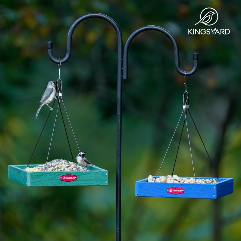Kingsyard Platform Mealworm Bird Feeder for Outside, Recycled Plastic Hanging