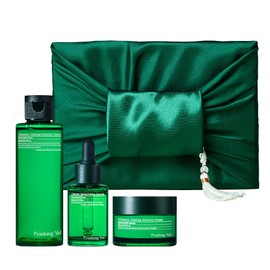 [PKY] Pyunkang Yul Korean Skincare Set, Soothing & Moisturising Care, Toner, Ampoule & Cream, Traditional Korean Packaging, No Irritation (3-Piece Set)