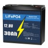 Litime 12V 30Ah LiFePO4 Lithium Battery 30A BMS Deep Cycles