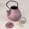 Creative Home Kyusu Cast Iron Tea Pot with Removable Stainless