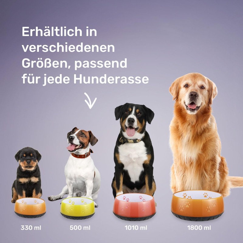 EHASO Water/Feeding Bowl