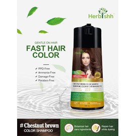 Herbishh Hair Color Shampoo for Gray Hair – PPD-Free Hair Dye Shampoo and Conditioner 2 Pack + Pro Keratin Argan Oil Hair Mask for Dry, Damaged Hair 150mL (Chestnut)
