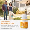 EZ Melts Dissolvable Vitamin C 500 mg, Sugar-Free, 1-Month Supply